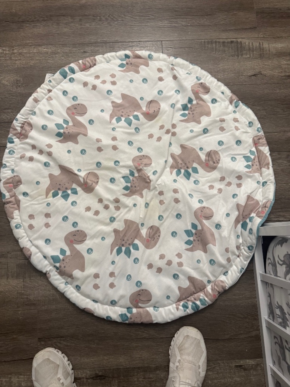 Dino theme baby items